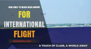 Navigating Delhi Airport: Optimal Arrival Time for International Flights