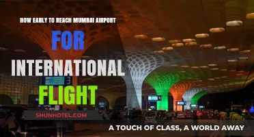 Mumbai Airport International Flights: Optimal Arrival Time Guide