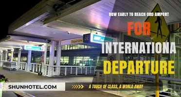 Navigating O'Hare: Optimal Arrival Time for International Flights