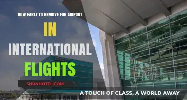 International Flights: Timing Your Airport Arrival for Stress-Free Travel