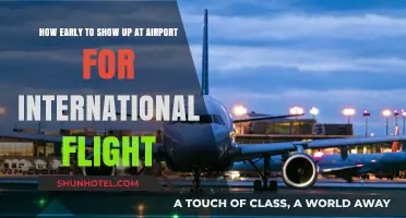 International Flight Prep: Optimal Airport Arrival Timing Tips