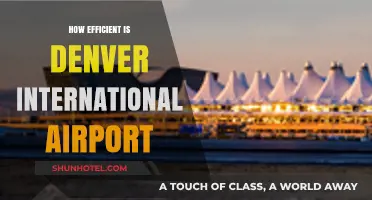 Denver International Airport: Analyzing Operational Efficiency and Passenger Experience