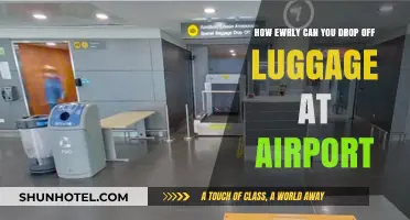 Best Time to Drop Off Luggage at the Airport