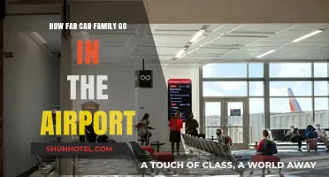 Exploring Airport Terminals: Family Access and Privileges