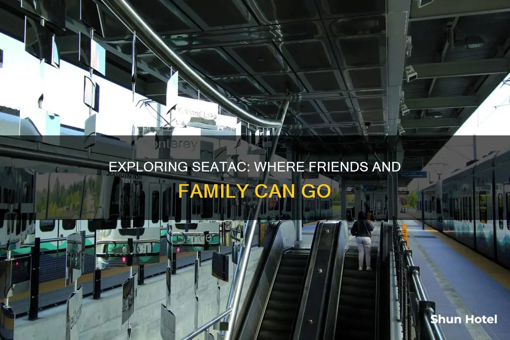 how far can friends and family go at seatac airport