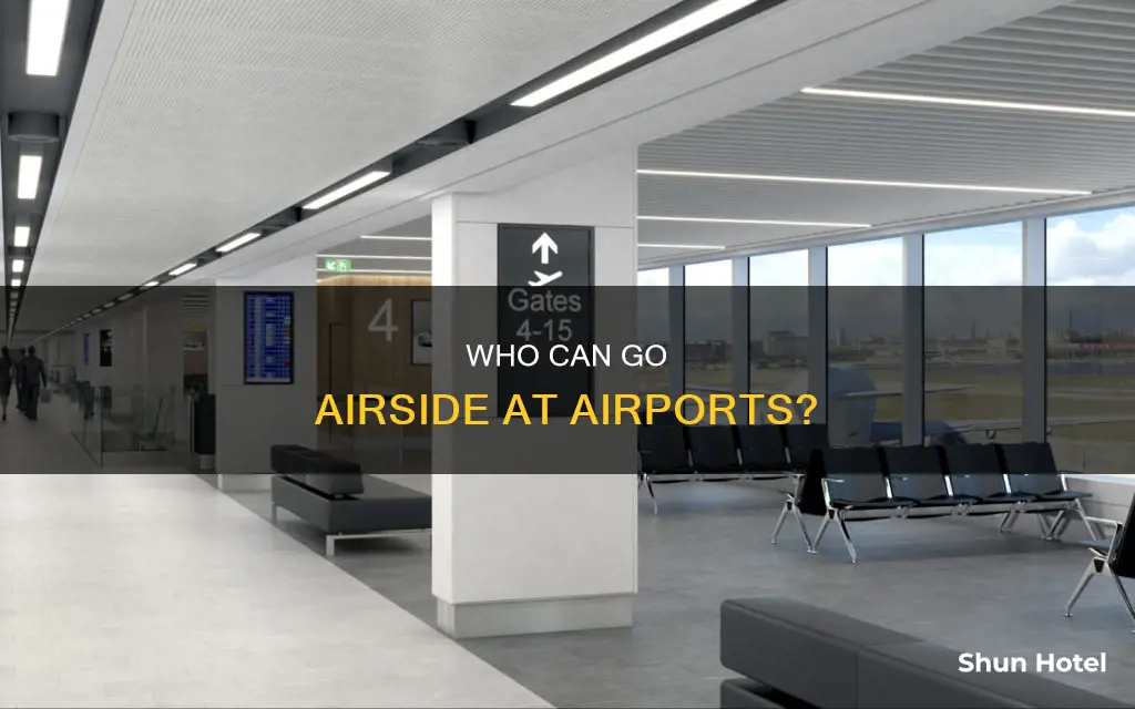 how far can i accompany someone at the airport