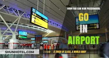 Exploring Airport Terminals: Non-Passenger Access Explained