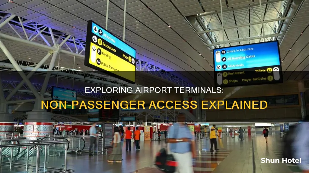 how far can non passengers go in airport