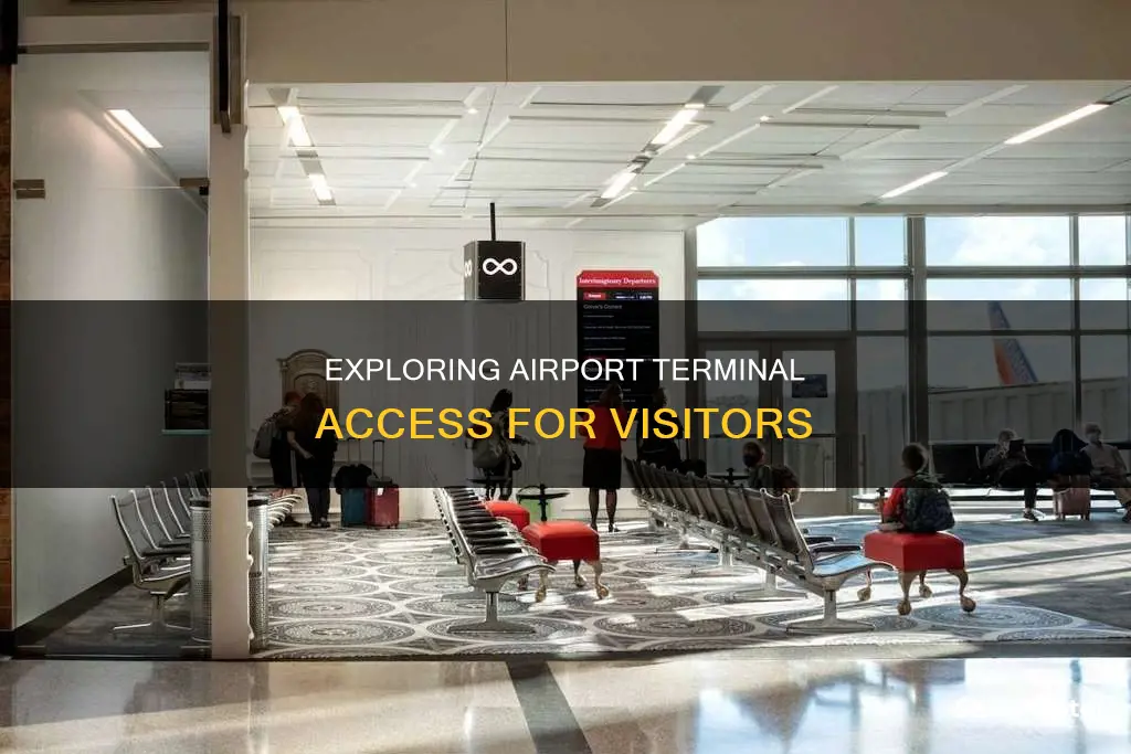 how far can you accompany someone in the airport