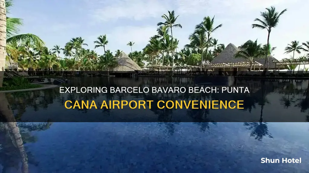 how far is barcelo bavaro beach from punta cana airport