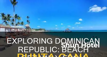how far is dominicus beach from punta cana airport