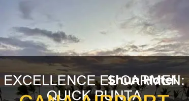 how far is excellence el carmen from punta cana airport