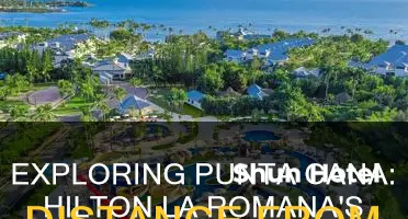 how far is hilton la romana from punta cana airport
