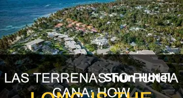 how far is las terrenas to punta can airport
