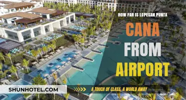 Punta Cana Airport to Lopesan: Quick Transfer Time?