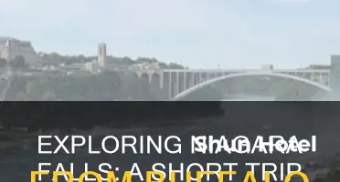 how far is naigara falls canada from the buffalo airport
