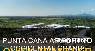how far is occidental grand punta cana from airport