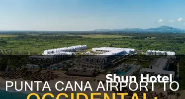 how far is occidental punta cana frim airport