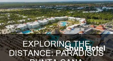 how far is paradisus punta cana from airport