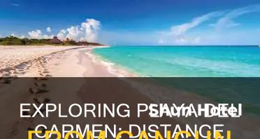 how far is playa del canen from cancun airport