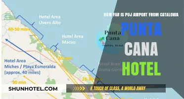 Puj Airport to Catalonia Punta Cana: How Far?