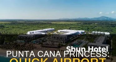 how far is punta cana princess from the airport