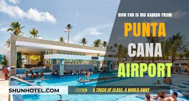 Exploring RIU Bambu's Proximity to Punta Cana Airport