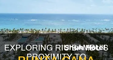how far is riu bambu from punta cana airport