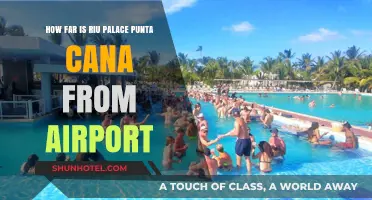 Punta Cana Airport to Riu Palace: Quick Transfers