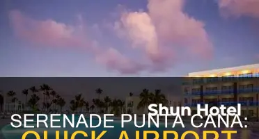 how far is serenade punta cana from airport