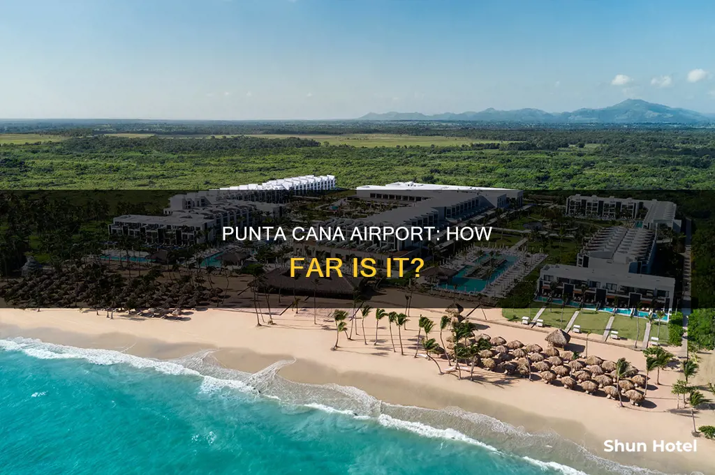 how far is the airport from punta cana
