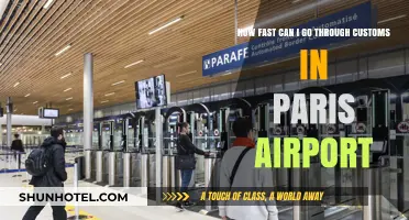 Quickly Clearing Customs in Paris: What's the Fastest Time?
