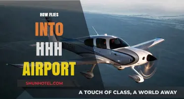 Navigating Flights into HHH Airport: A Comprehensive Travel Guide