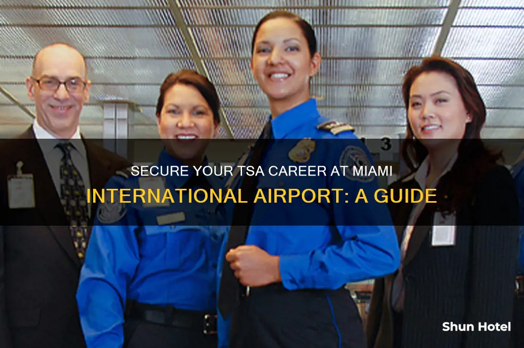 how get a job with tsa in miami s airport