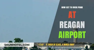 Navigating to the Duck Pond at Reagan Airport: A Quick Guide