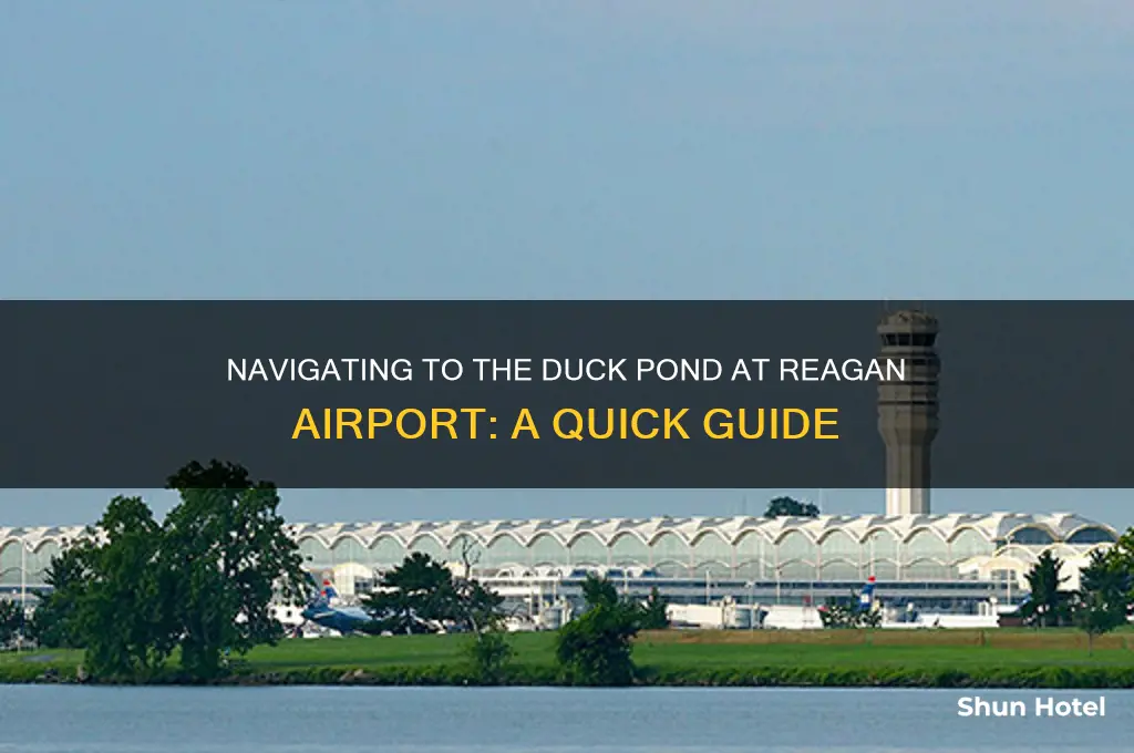 how get to duck pond at reagan airport