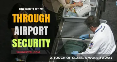 Sneaking Weed Through Airport Security: Risks, Challenges, and Consequences