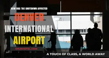 Denver International Airport's Challenges Amid the Shutdown Crisis