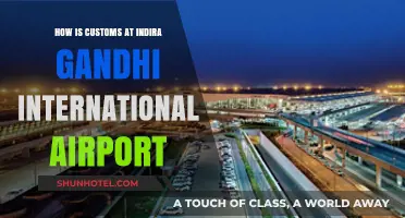 Navigating Customs at Indira Gandhi International Airport: A Comprehensive Guide