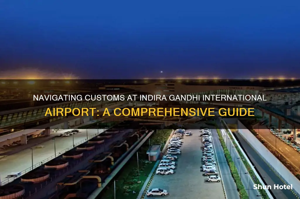 how is customs at indira gandhi international airport