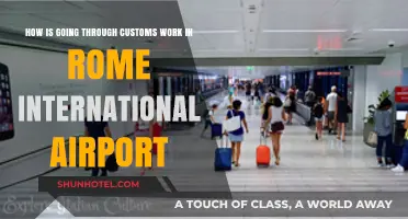 Navigating Rome International Airport Customs: A Step-by-Step Guide