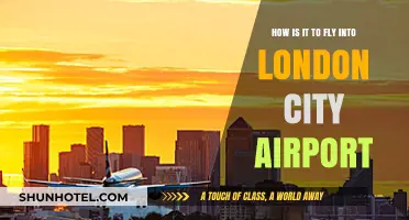 Flying into London City Airport: A Unique Urban Landing Experience