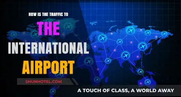 Navigating the Crowds: Understanding Traffic Flow to International Airports