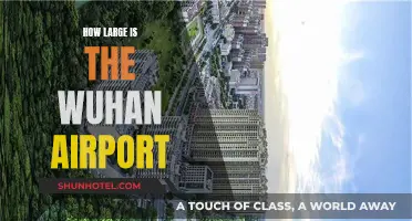 Wuhan Airport's Expansive Layout: Size and Features