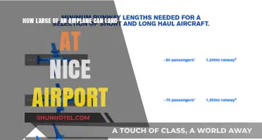 Nice Airport's Landing Limitations: How Big is Too Big?