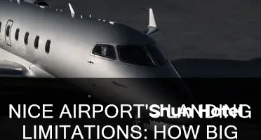 how large of an airplane can land at nice airport