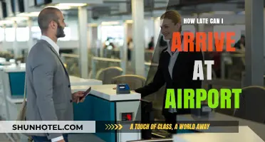 Last-Minute Guide to Airport Arrival Times