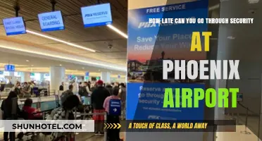 Phoenix Airport Security: Last Call for Boarding