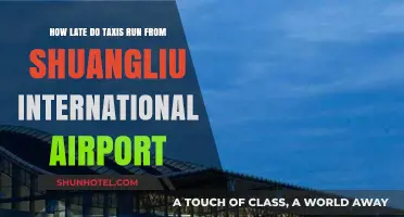 Taxi Availability Hours at Shuangliu International Airport: Late-Night Options