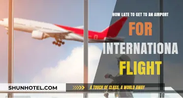 Avoid Stress: Optimal Arrival Times for International Flights Explained